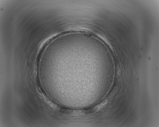 X0000082720979200702091808