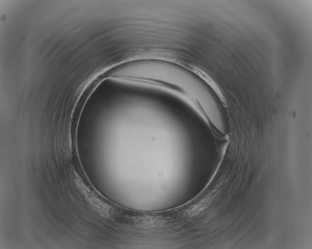 X0000082720980200702091808