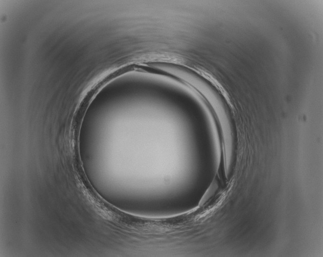 X0000082720981200702091808