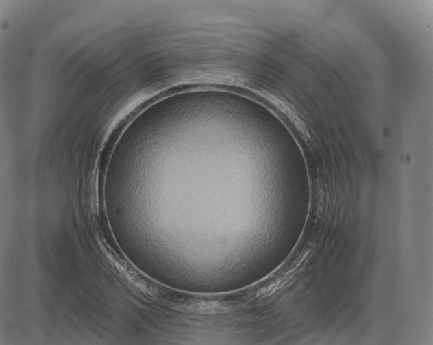 X0000082720982200702091808