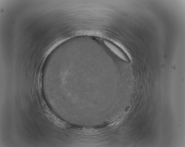 X0000082720983200702091808