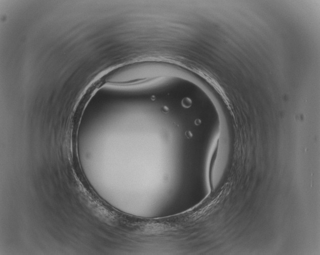 X0000082720984200702091808