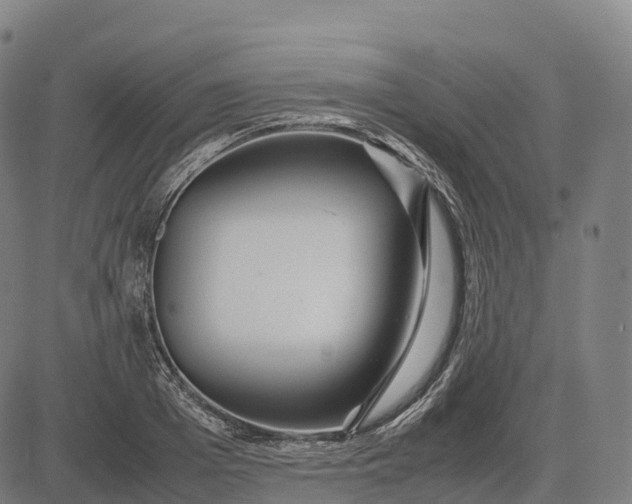 X0000082720985200702091808