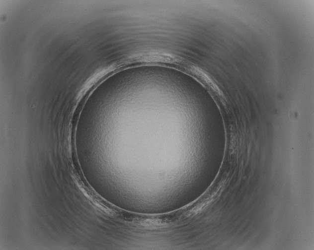 X0000082720986200702091808