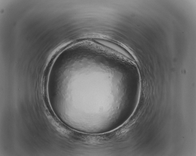 X0000082720987200702091808