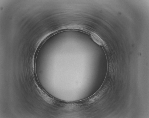 X0000082720988200702091808