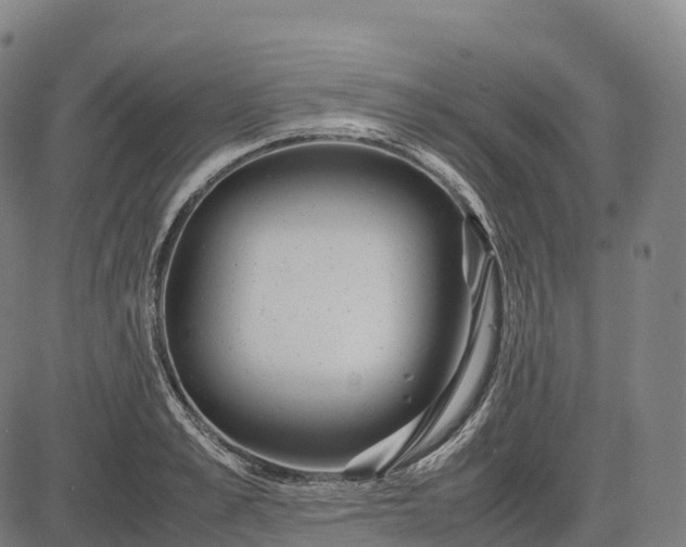 X0000082720989200702091808