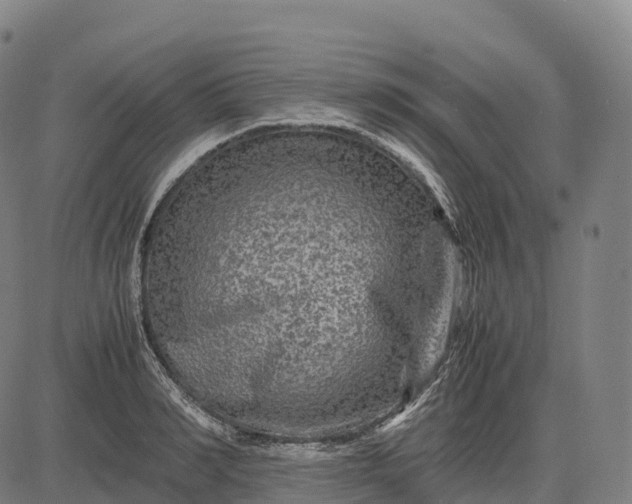 X0000082720990200702091808