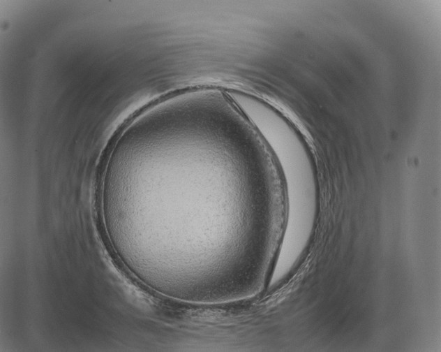 X0000082720991200702091808