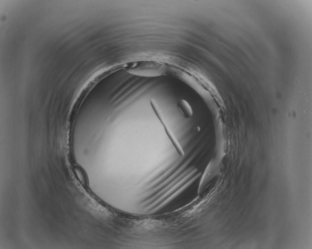 X0000082720992200702091808