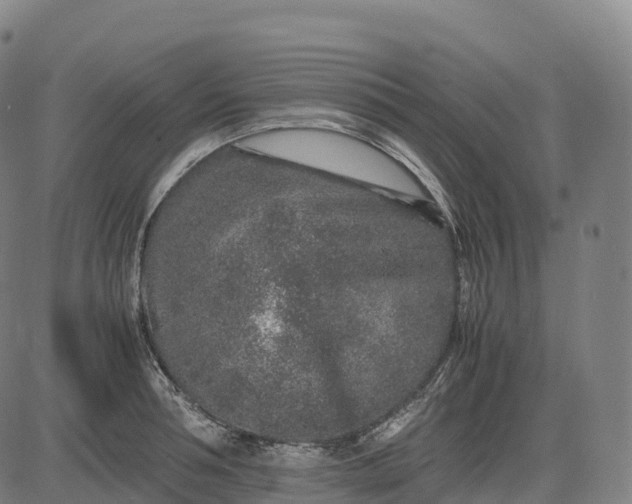 X0000082720994200702091808