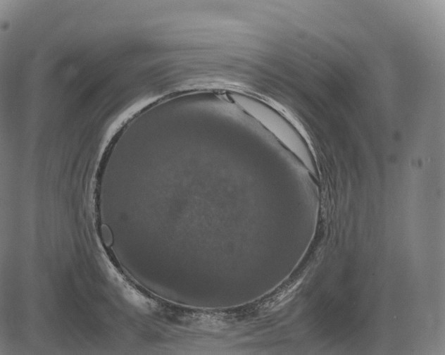 X0000082720995200702091808