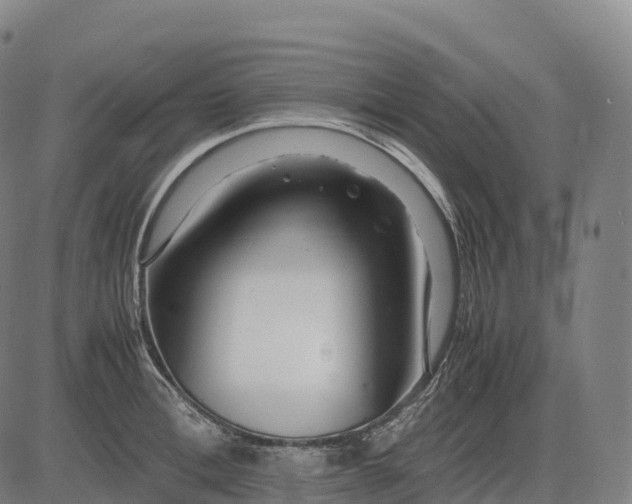 X0000082720996200702091808