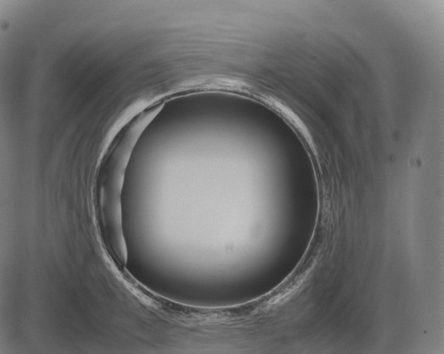 X0000082720997200702091808