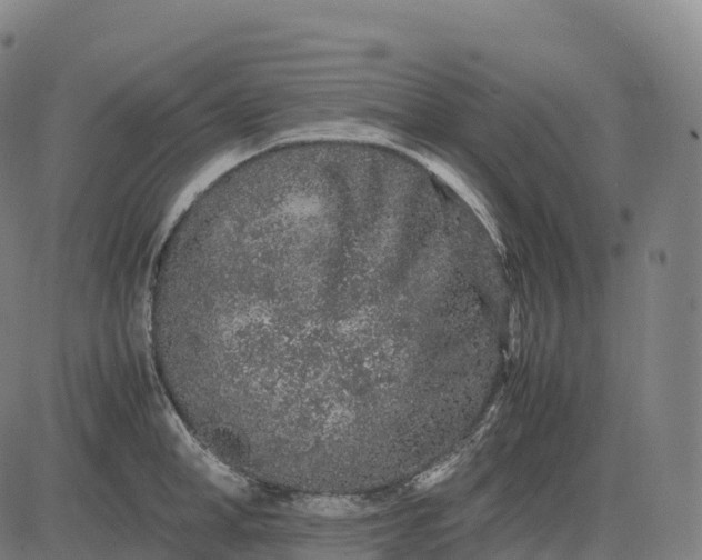 X0000082720998200702091808