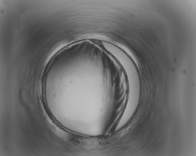 X0000082720999200702091808