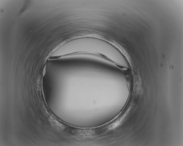 X0000082721001200702091808