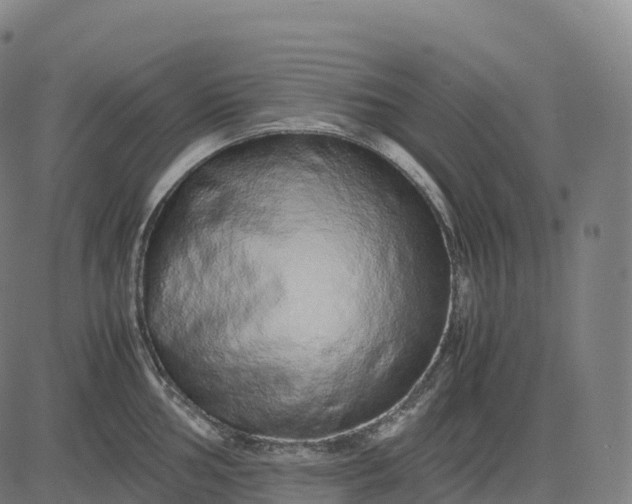 X0000082721002200702091808