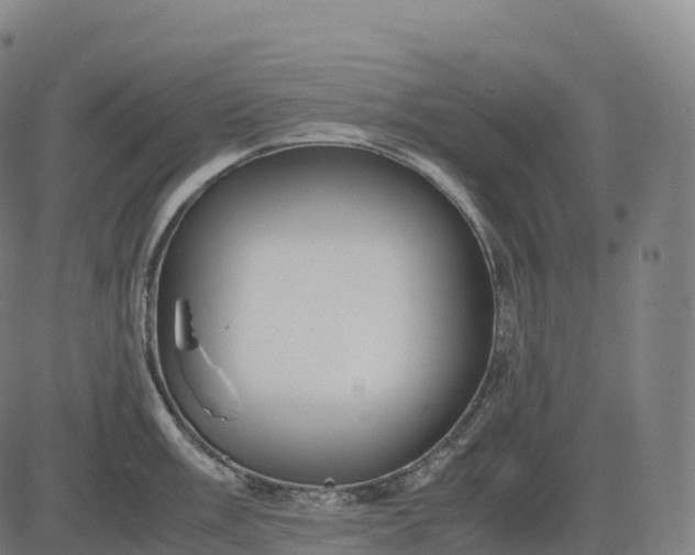 X0000082721003200702091808