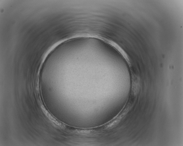 X0000082721004200702091808