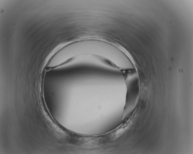 X0000082721005200702091808