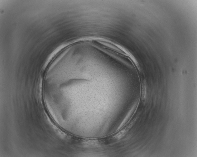 X0000082721006200702091808