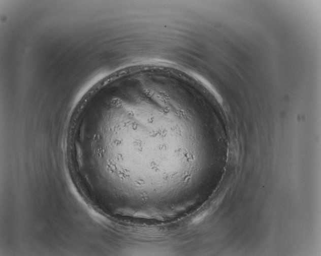 X0000082721007200702091808