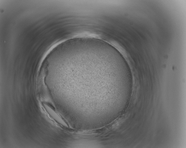 X0000082721008200702091808