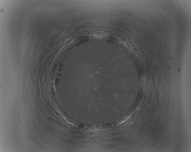 X0000082721009200702091807