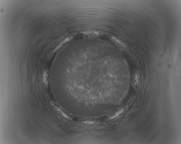 X0000082721010200702091807