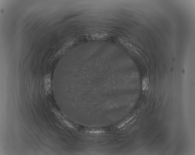 X0000082721011200702091807