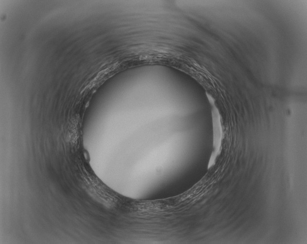 X0000082721012200702091807