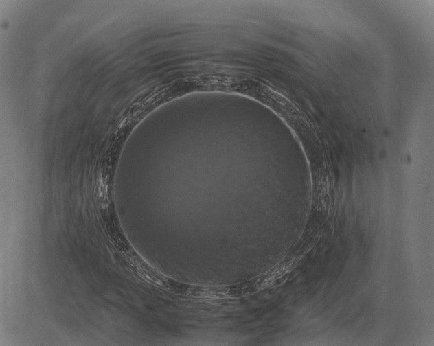 X0000082721013200702091807