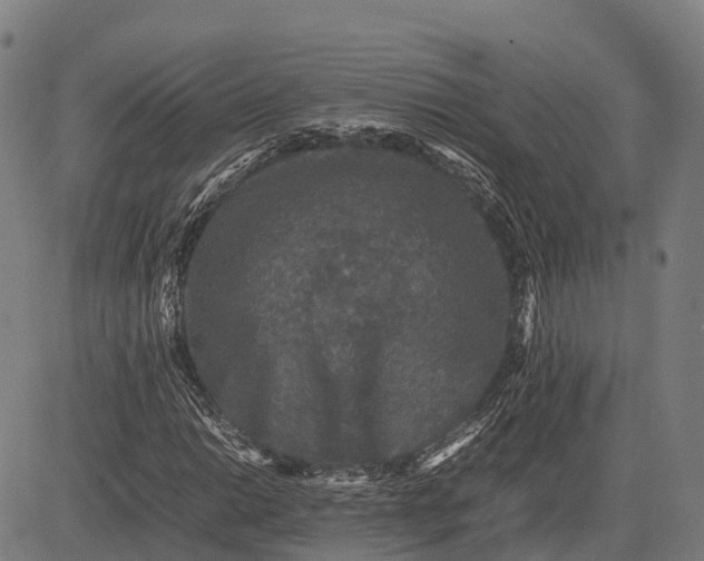 X0000082721014200702091807