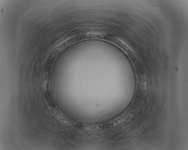 X0000082721015200702091807