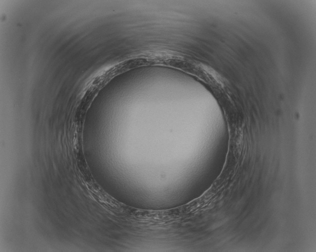 X0000082721016200702091807