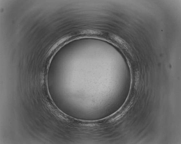 X0000082721017200702091807