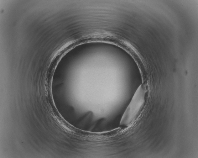 X0000082721018200702091807