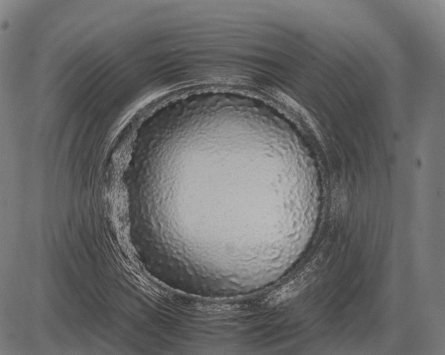 X0000082721019200702091807