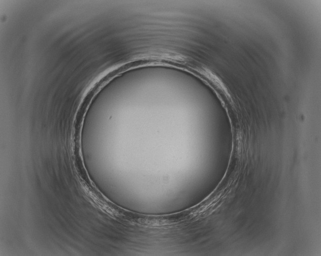 X0000082721020200702091807