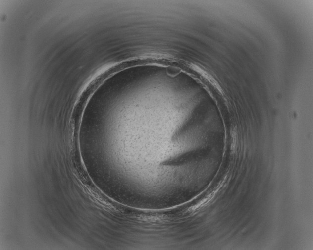 X0000082721021200702091807