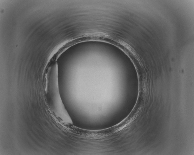 X0000082721022200702091807