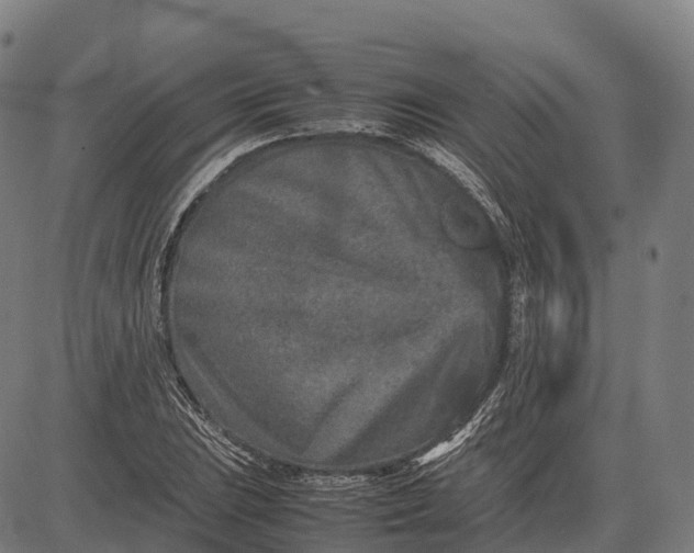 X0000082721023200702091807