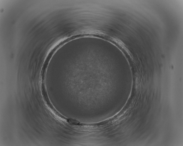 X0000082721024200702091807