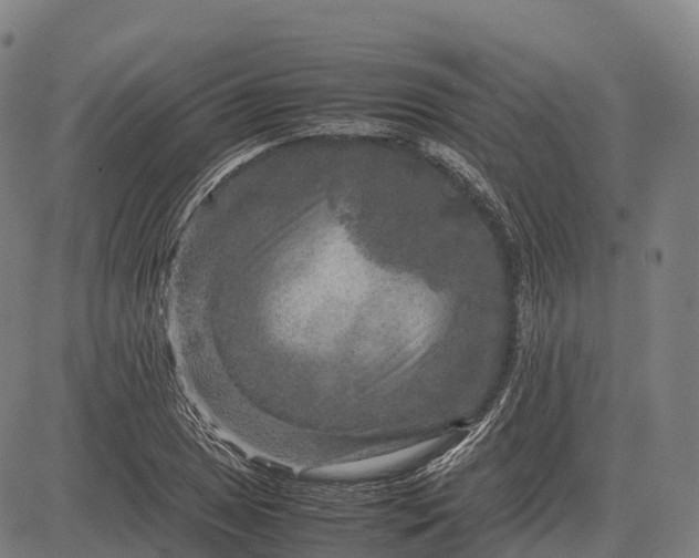 X0000082721025200702091807