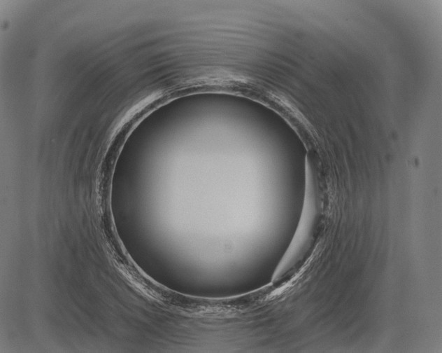 X0000082721026200702091807