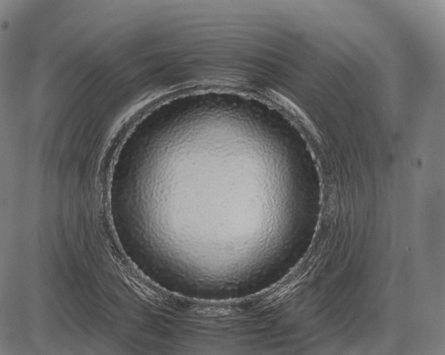 X0000082721027200702091807