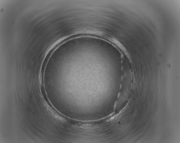 X0000082721028200702091807