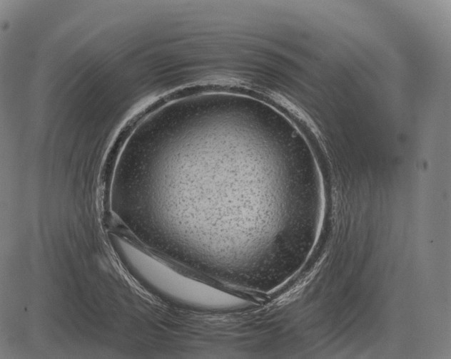 X0000082721029200702091807