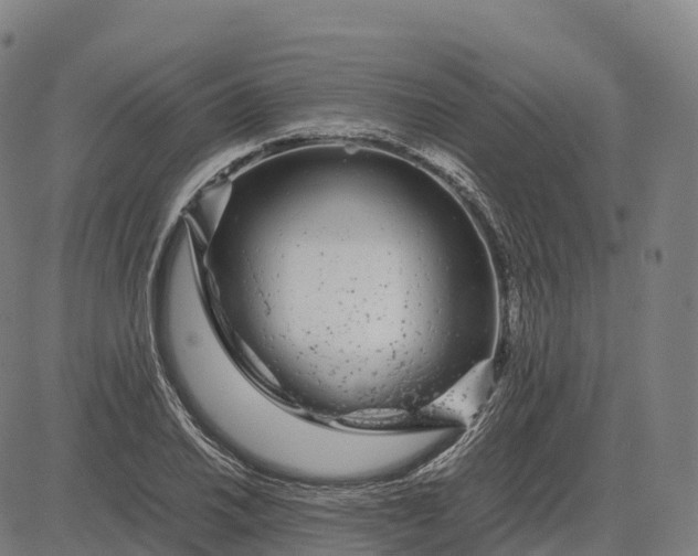 X0000082721030200702091807